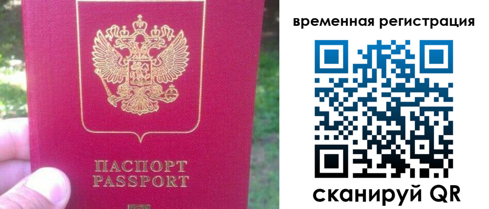 временная регистрация для школы в Ленинградской области