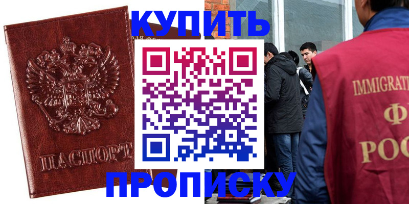 прописка для школы в Ленинградской области